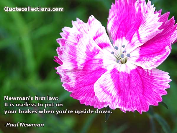 Paul Newman Quotes3